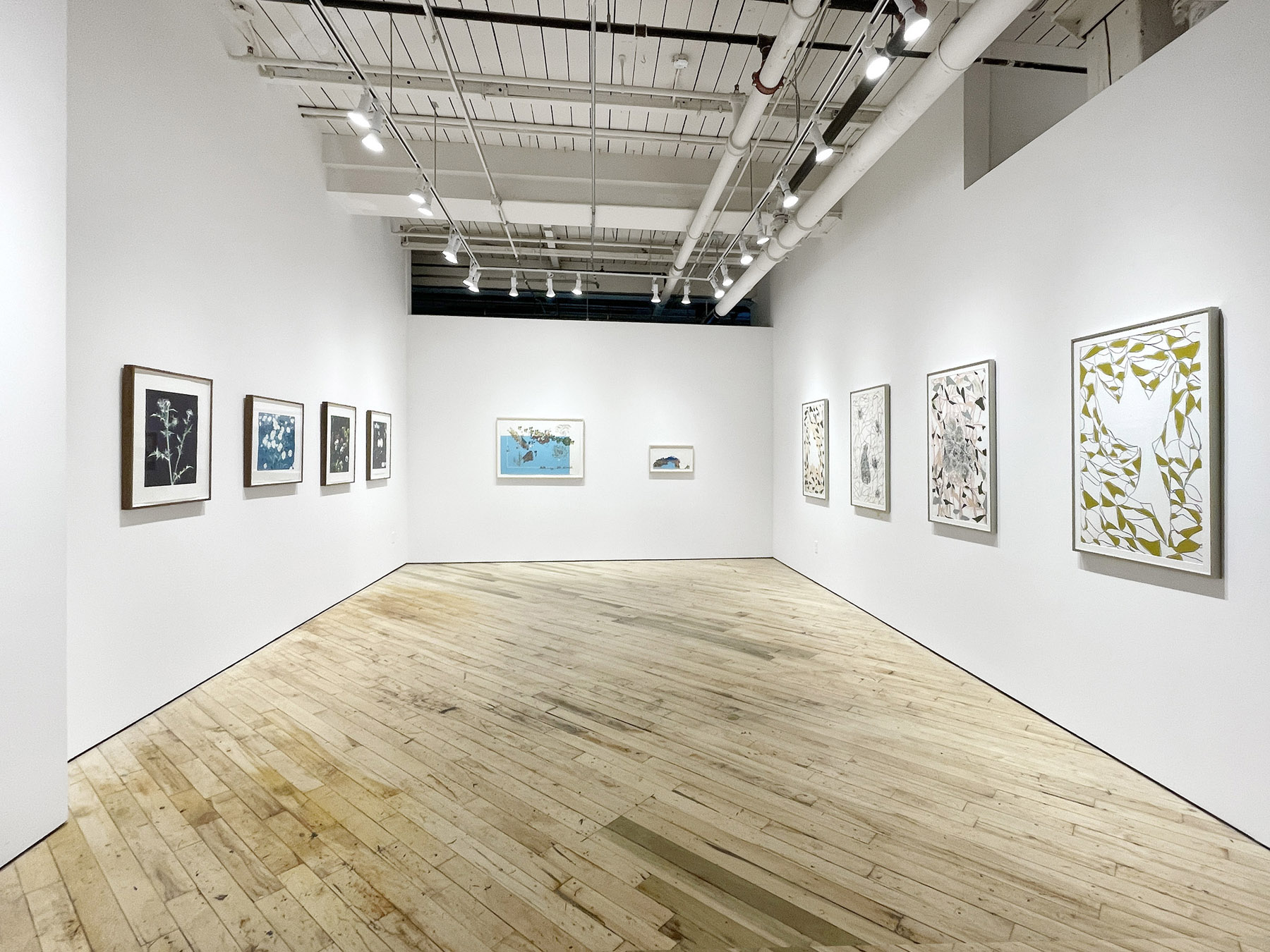 Installation view