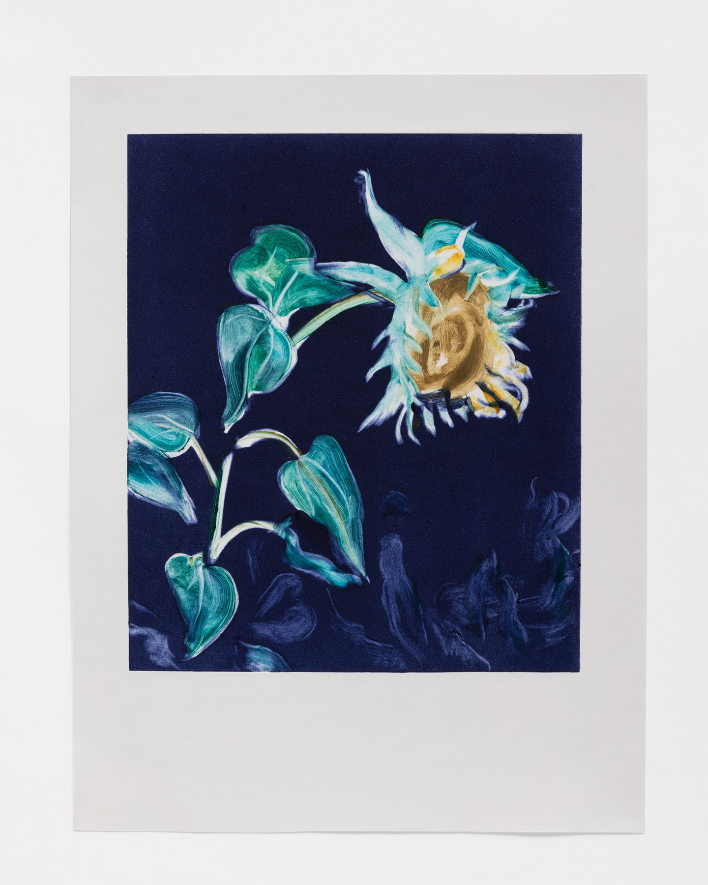 Sunflower Study 1