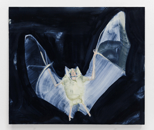 The Flasher