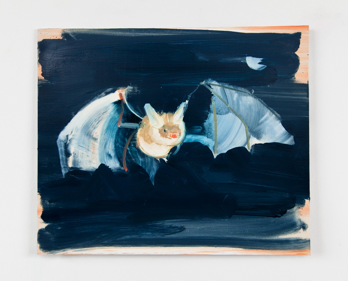 Cute Night Bat