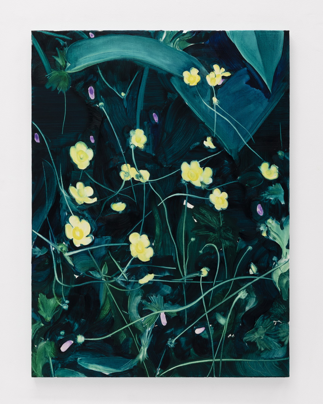 Common Buttercups